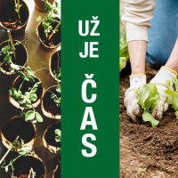 Jarní práce na&nbsp;zahrádce